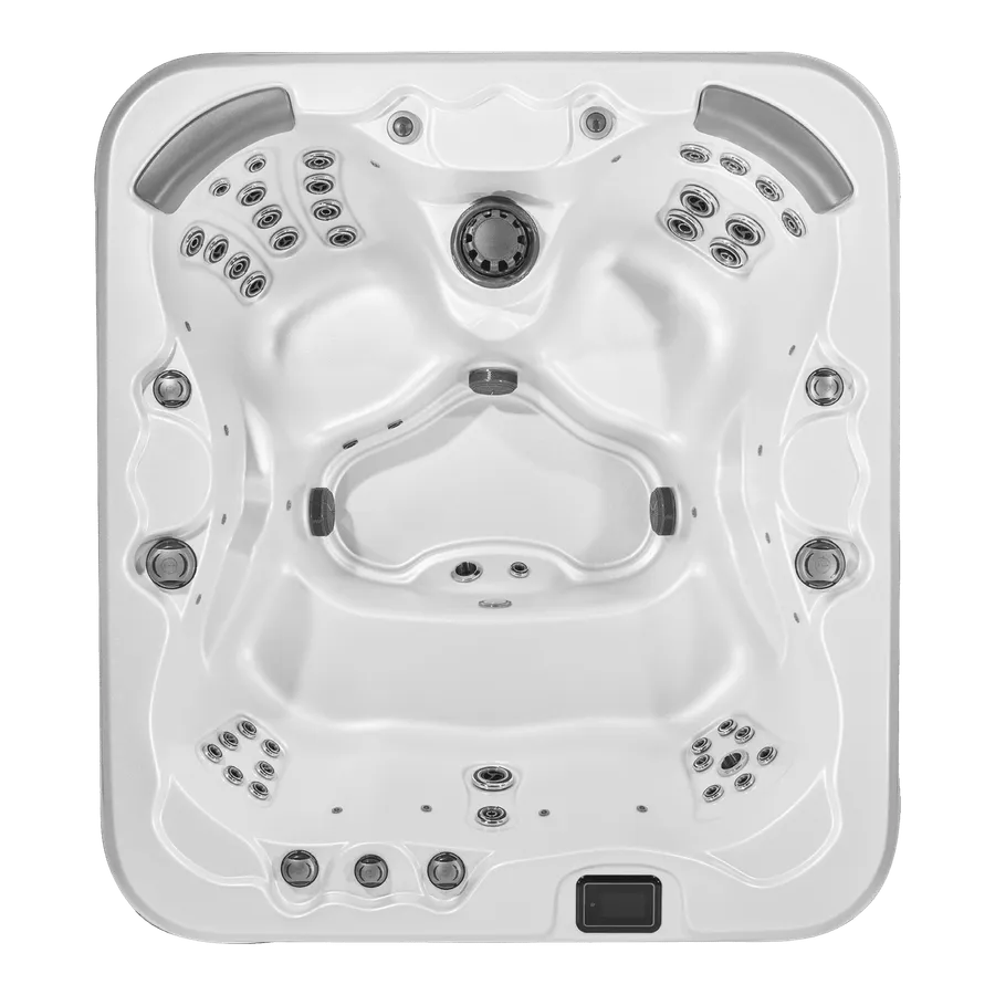 pioneer gs top view